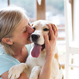 Cachorro idoso: veja os sinais da idade e os cuidados